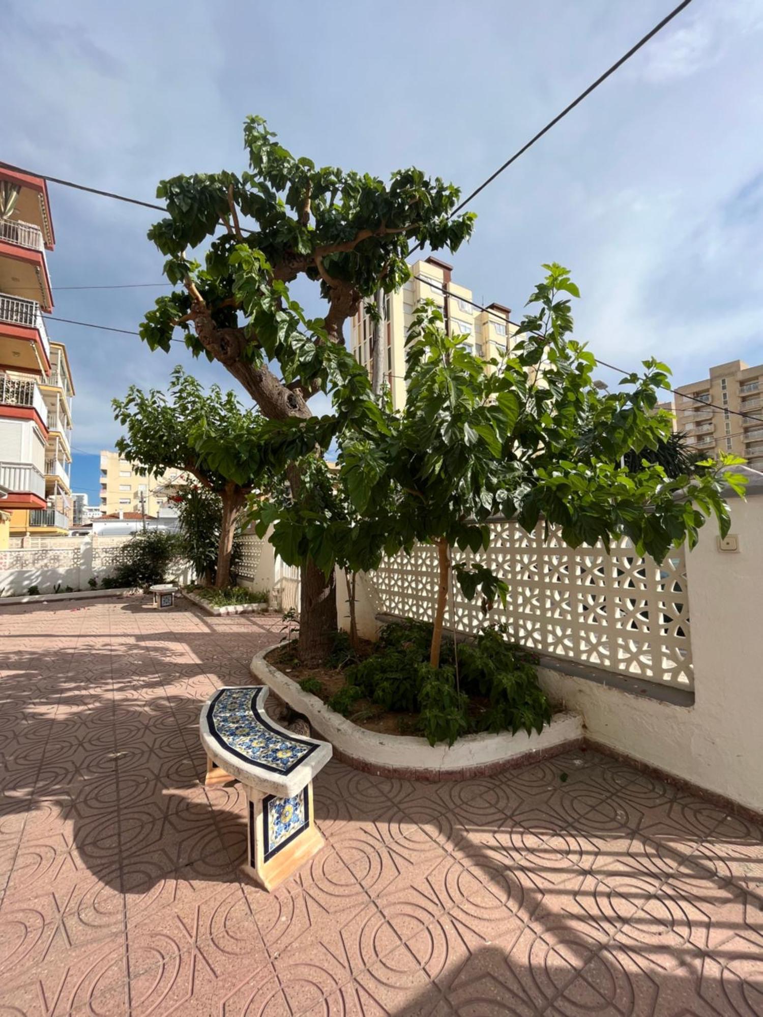Rincon De Maria- Segunda Linea De Playa-Ganador Traveller Awards 2025 Apartment Playa de Gandia ภายนอก รูปภาพ