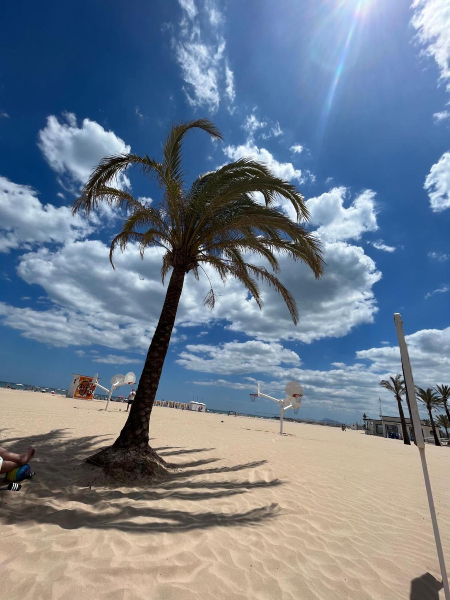 Rincon De Maria- Segunda Linea De Playa-Ganador Traveller Awards 2025 Apartment Playa de Gandia ภายนอก รูปภาพ
